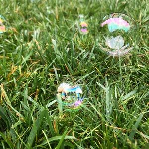 Meet your Posher, Nina